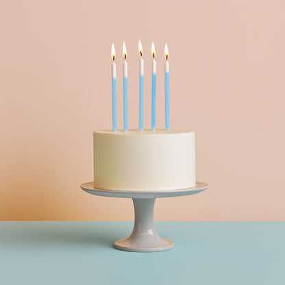 OMBRE Cake Candles (Pack of 12)